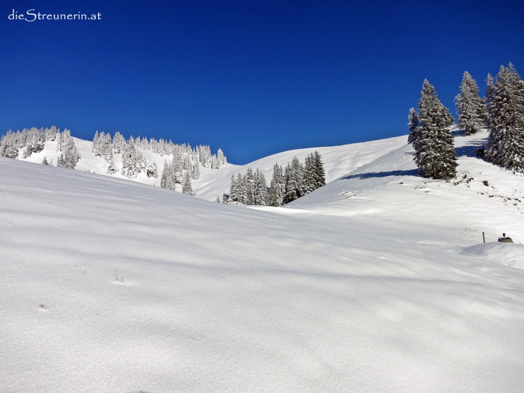 Allgäuer Alpen, Spieser, Oberjoch, Schneeschuhwanderung, Skitour