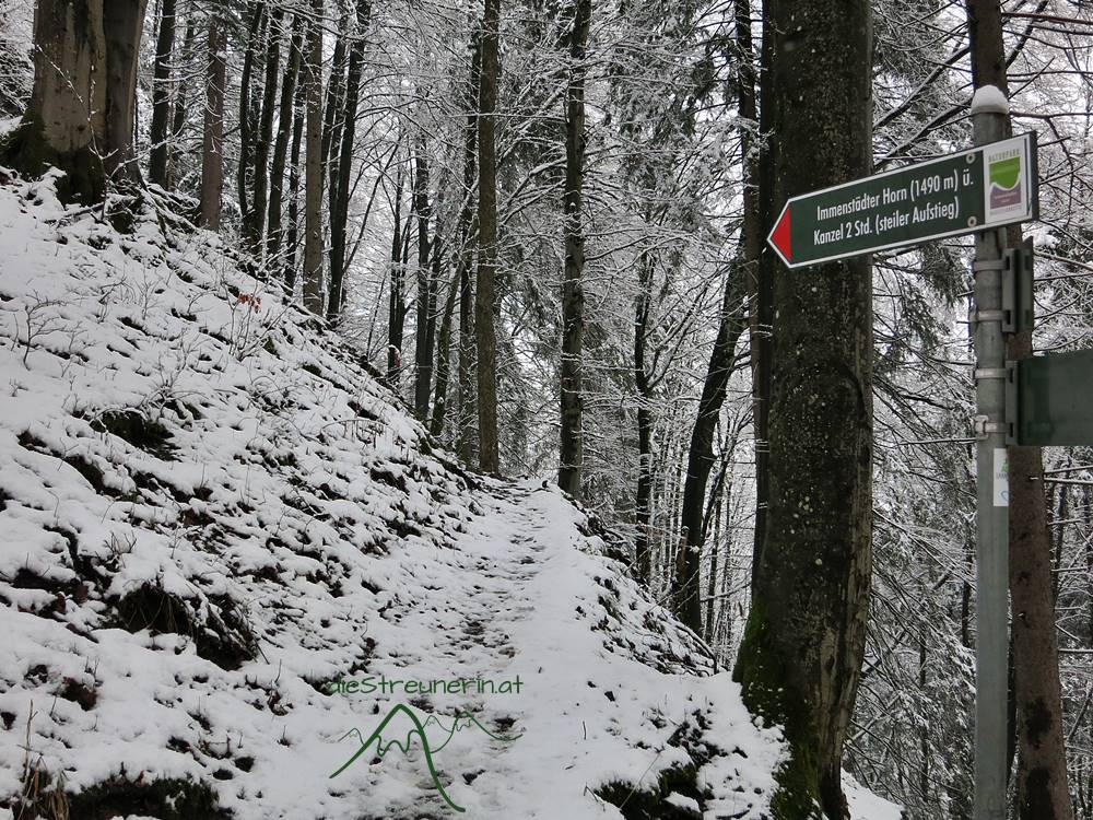 Immenstädter Horn, Allgäuer Alpen, Winterwandern, Allgäu
