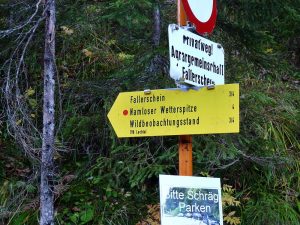 Skitour Namloser Wetterspitze, Lechtalerl Alpen