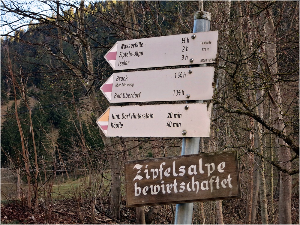 Bschießer, Hinterstein, Zipfelsalpe, Allgäuer Alpen