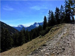 Ammergauer Alpen, Ochsenälpelekopf, Kreuzkopf