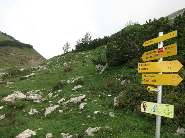 Bergtour Sulzspitze, Schochenspitze, Tannheimer Tal