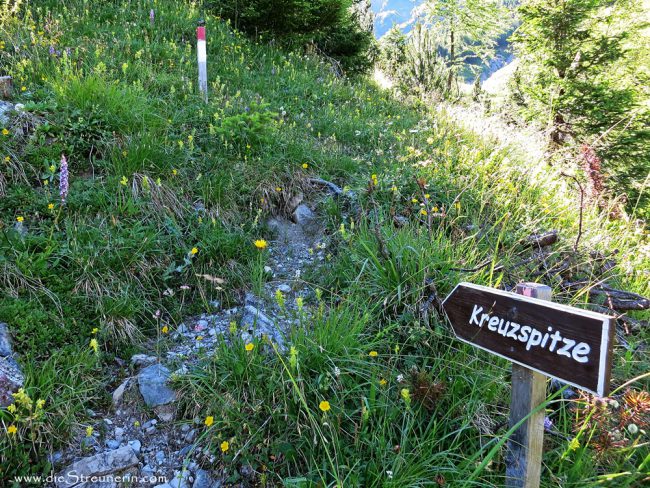 Elmer Kreuzspitze, Lechtaler Alpen, Bergtour, Tirol