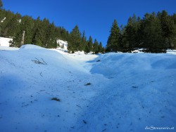 Hintersteiner Tal, Willersalpe, Zierleseck, Allgäu, Winterwandern, Schneeschuhwandern