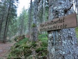 Wertacher Hörnle, Allgäu, Wandern, Buchel Alpe