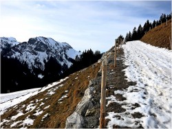 Wertacher Hörnle, Allgäu, Wandern, Buchel Alpe