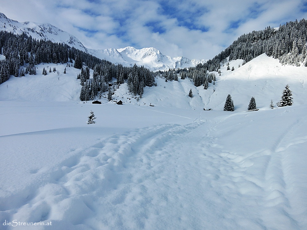 Kleinwalsertal, Skitour, Pellingerkopf, Allgäuer Alpen, Hählekopf, Schwarzwasserhütte