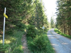 Bergtour Grubachspitze Lechtal Allgäuer Alpen