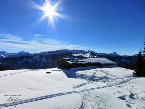 Mittelalpe Grasgehren, Riedberger Horn, Winter, Skitour, Schneeschuhtour, Allgäu