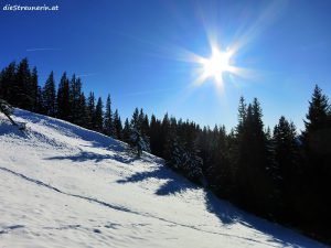 Winterwandern, Winterwanderung, Schneeschuhwandern, Gschwender Horn, Immenstädter Horn, Gschwender Bergalpe,