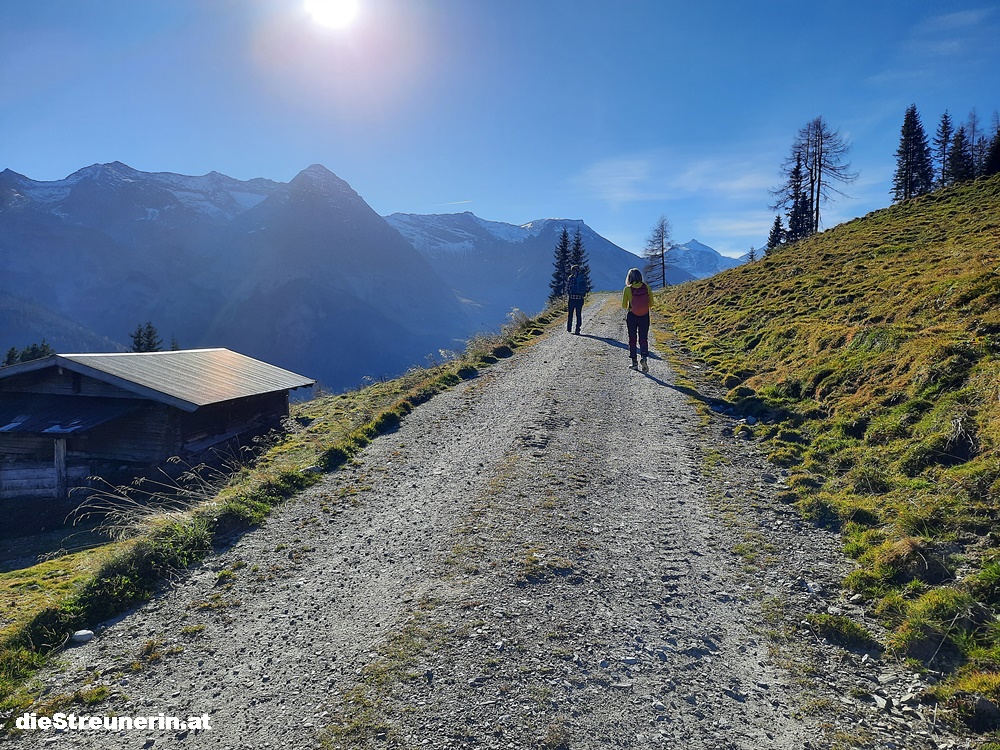 Tuxer Alpen, Grüblspitze, Hintertuxer Gletscher