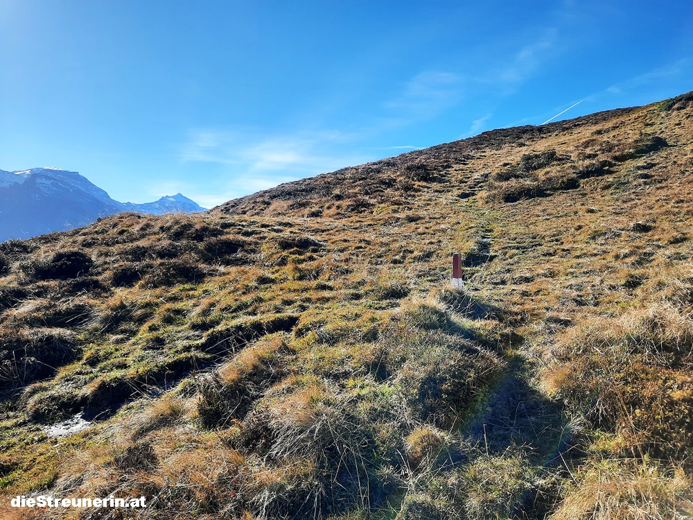 Tuxer Alpen, Grüblspitze, Hintertuxer Gletscher