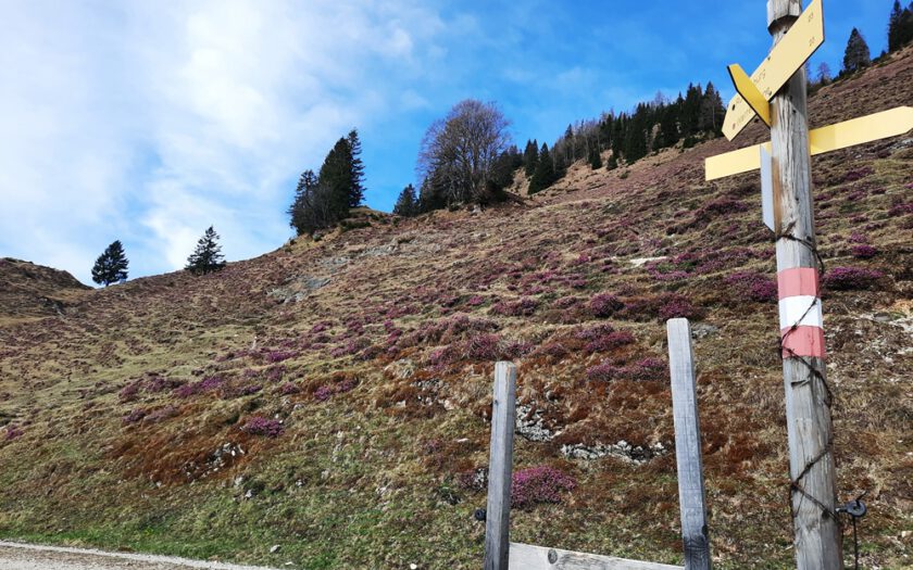 Chiemgauer Alpen, Rudersburg, Achental, Tiroler Unterland