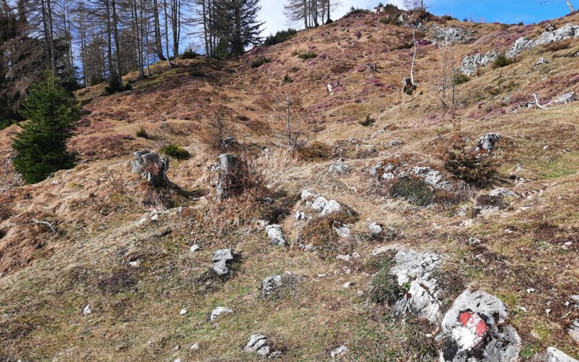 Chiemgauer Alpen, Rudersburg, Achental, Tiroler Unterland