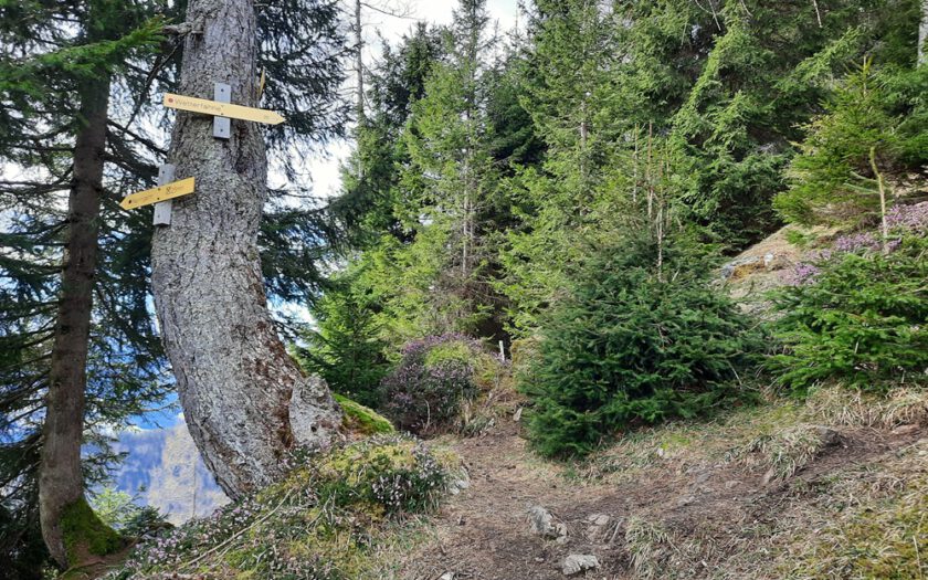 Chiemgauer Alpen, Rudersburg, Achental, Tiroler Unterland