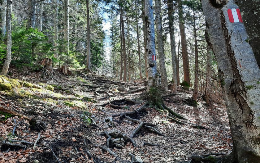 Chiemgauer Alpen, Rudersburg, Achental, Tiroler Unterland