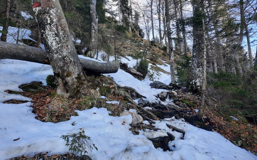 Chiemgauer Alpen, Rudersburg, Achental, Tiroler Unterland