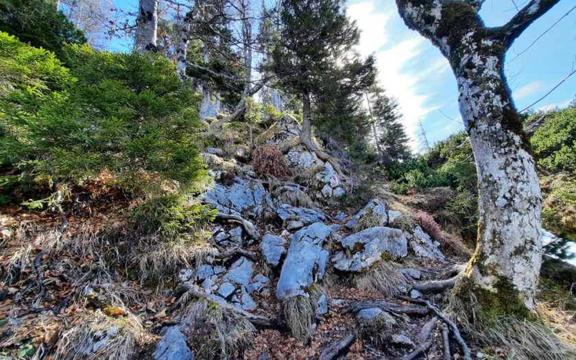 Chiemgauer Alpen, Rudersburg, Achental, Tiroler Unterland