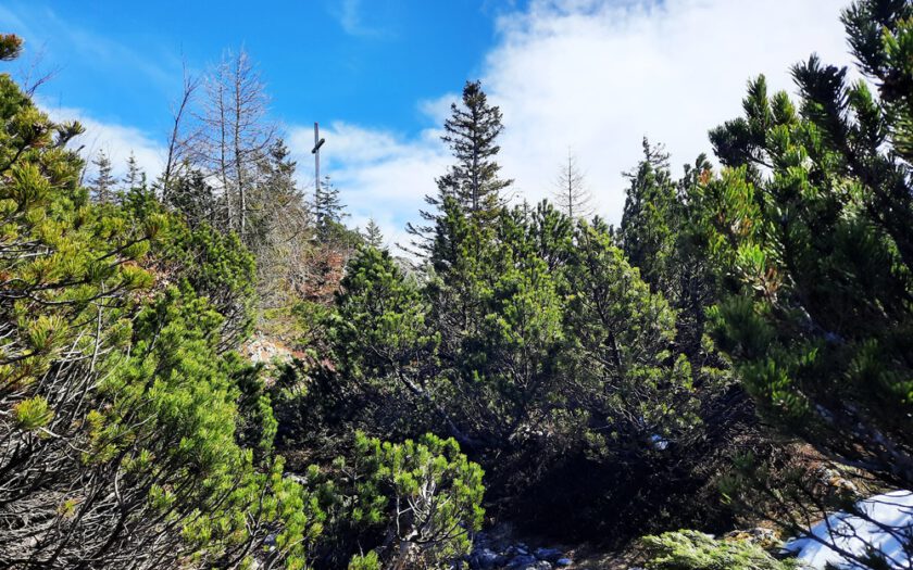 Chiemgauer Alpen, Rudersburg, Achental, Tiroler Unterland