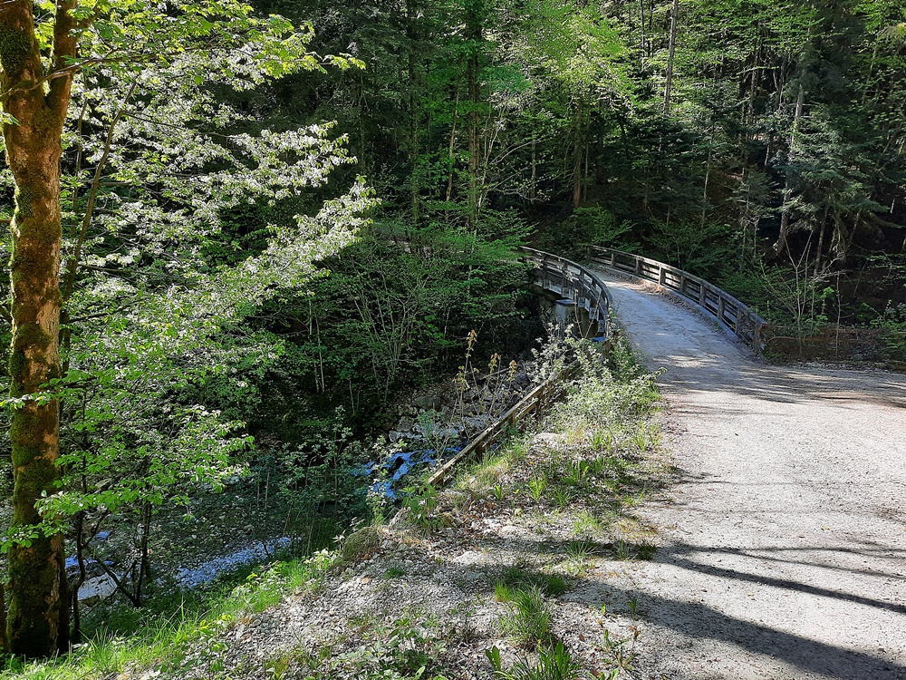 Friedenrath, Chiemgauer Alpen