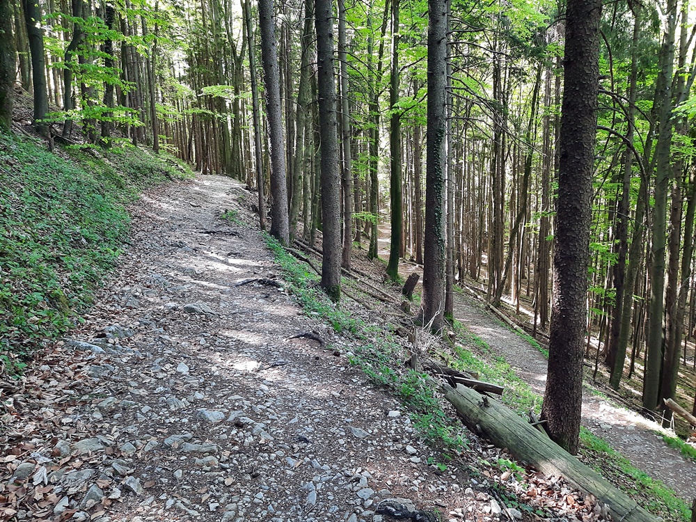 Friedenrath, Chiemgauer Alpen