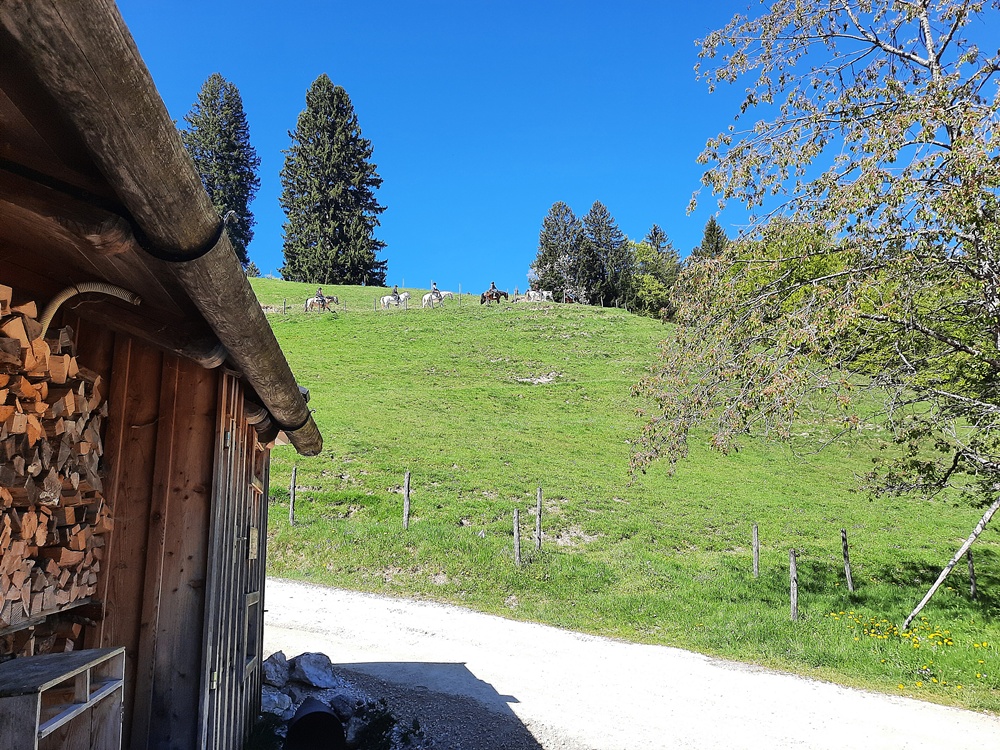 Friedenrath, Chiemgauer Alpen
