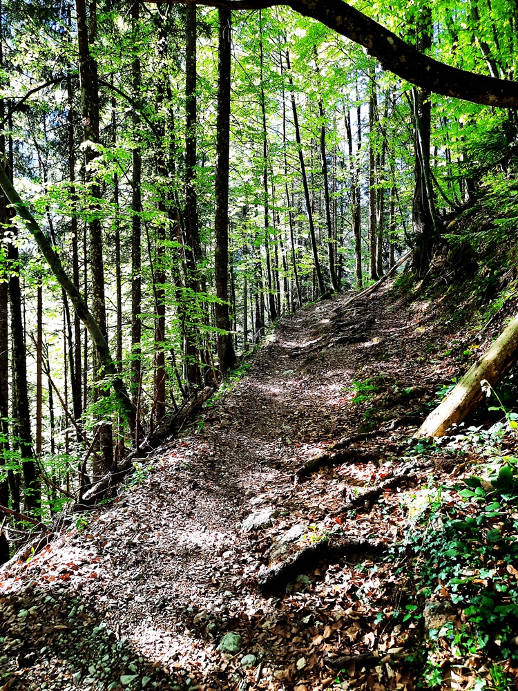 Hörndlwand, Chiemgauer Alpen