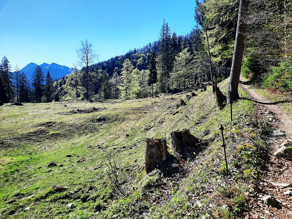 Hörndlwand, Chiemgauer Alpen