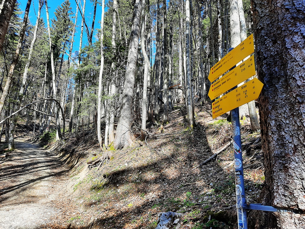 Hörndlwand, Chiemgauer Alpen