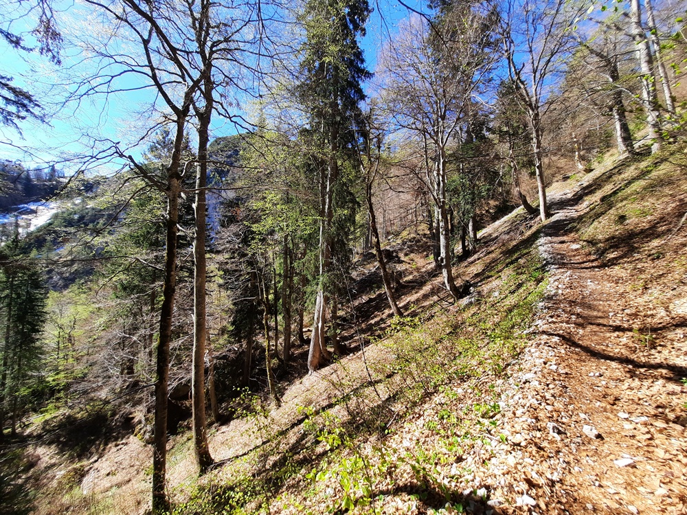 Hörndlwand, Chiemgauer Alpen