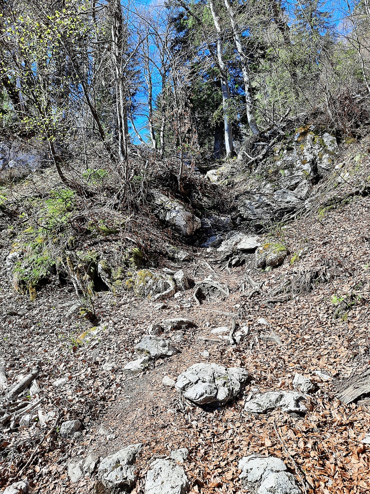 Hörndlwand, Chiemgauer Alpen