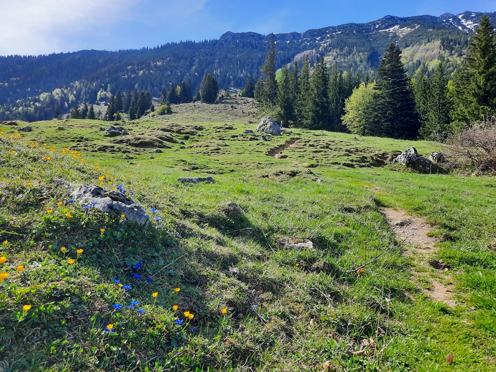Weitlahnerkopf, Achental, Chiemgauer Alpen