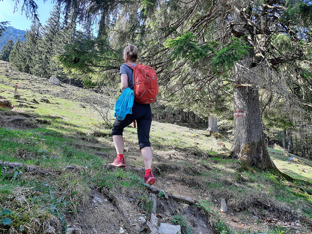 Weitlahnerkopf, Achental, Chiemgauer Alpen