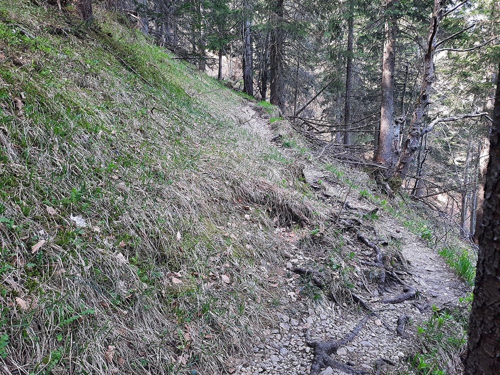 Weitlahnerkopf, Achental, Chiemgauer Alpen