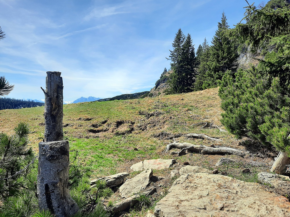 Weitlahnerkopf, Achental, Chiemgauer Alpen