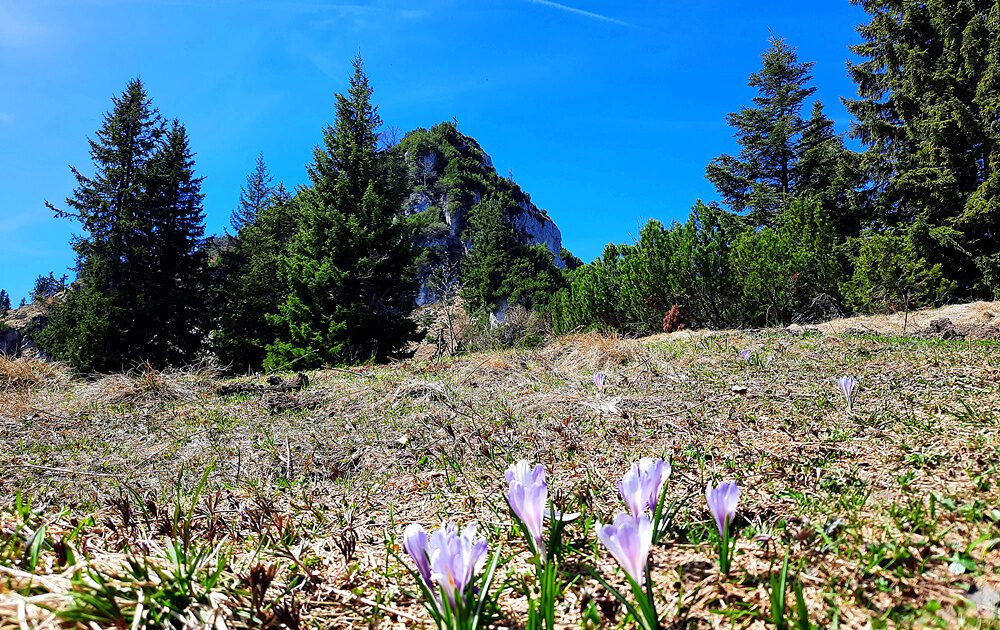 Weitlahnerkopf, Achental, Chiemgauer Alpen