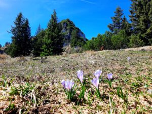 Weitlahnerkopf, Achental, Chiemgauer Alpen