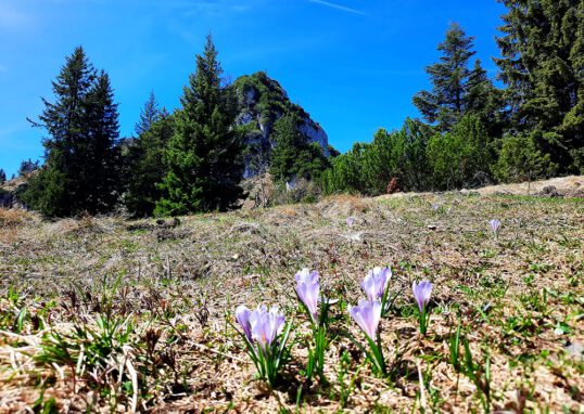 Weitlahnerkopf, Achental, Chiemgauer Alpen