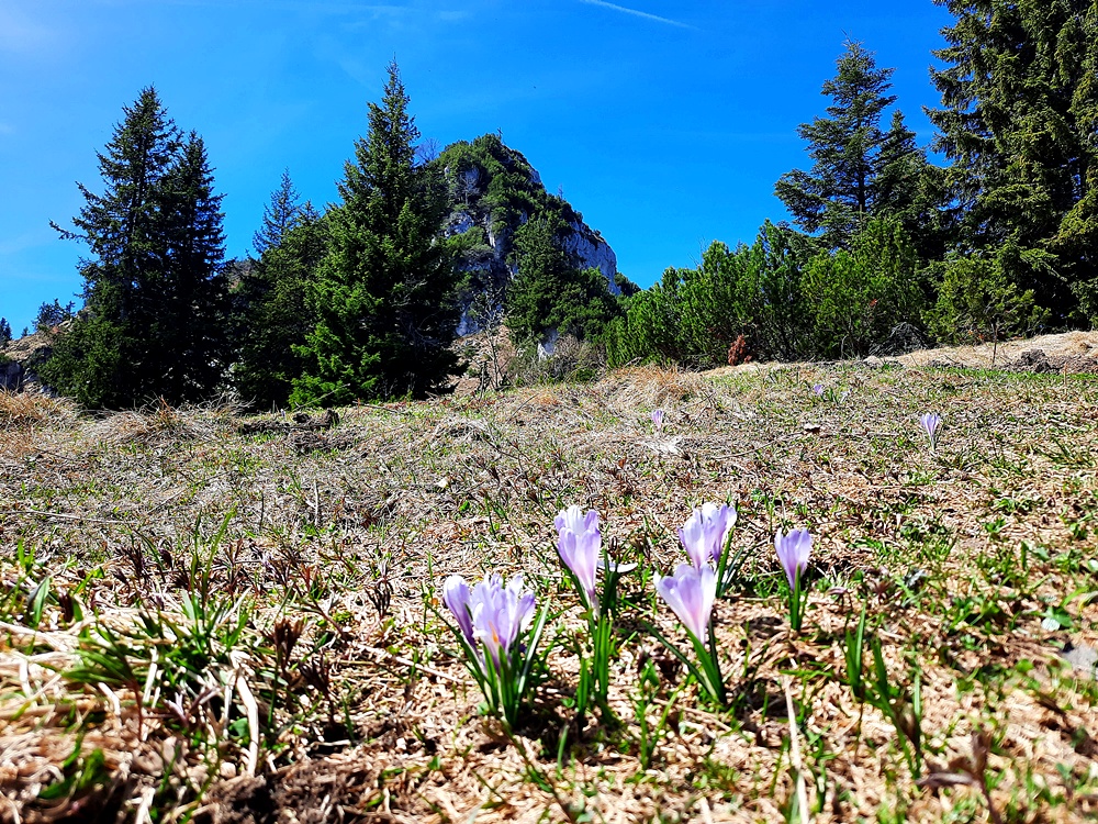 Weitlahnerkopf, Achental, Chiemgauer Alpen